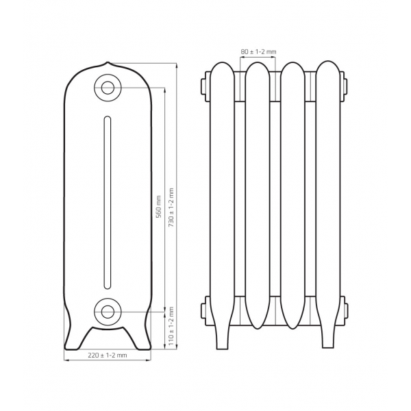 Радиатор чугунный Barton (1 секция)